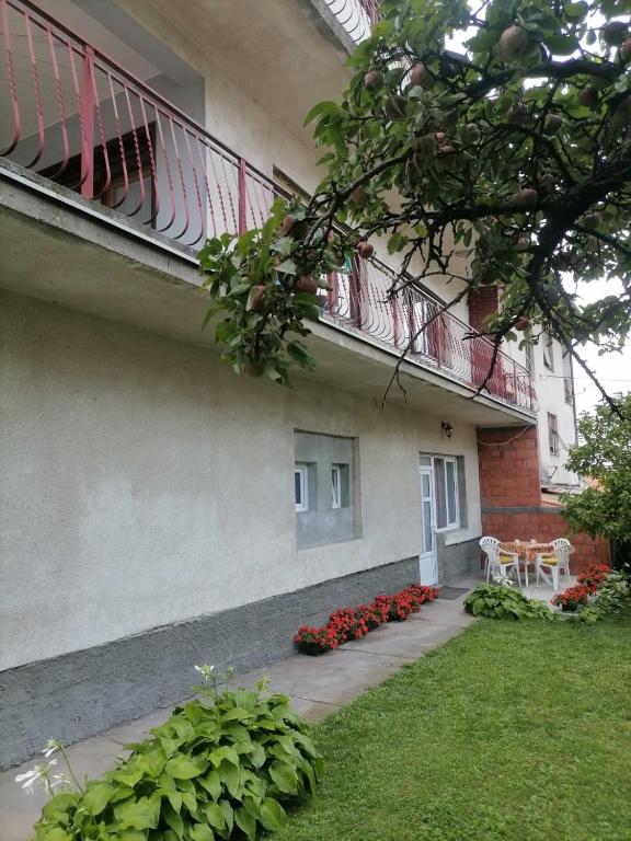 Pavicevic - 2