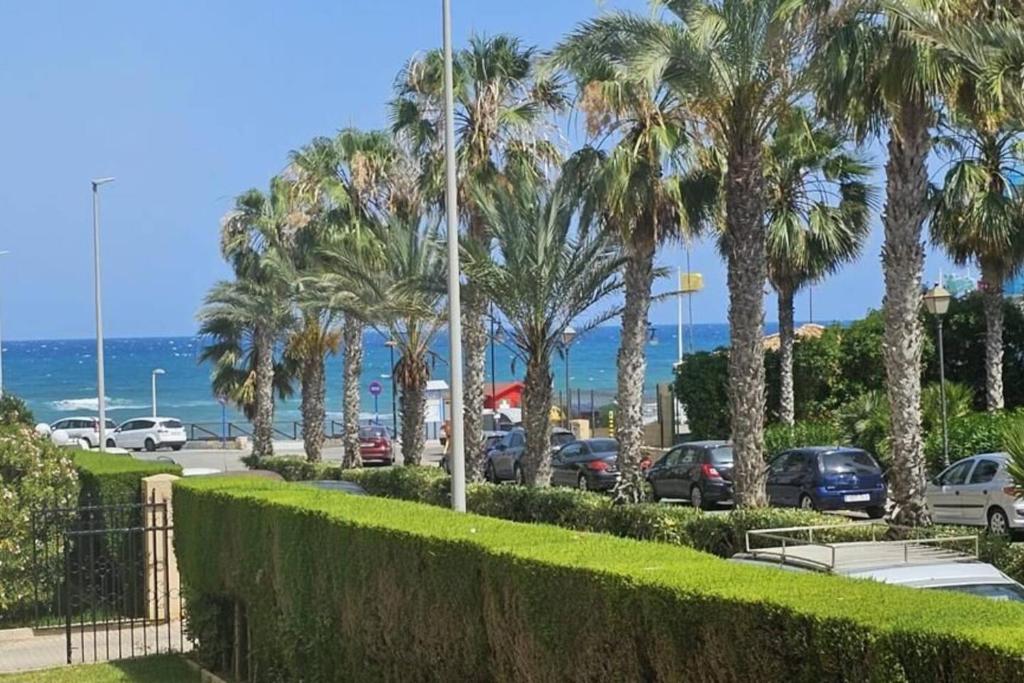 LAS OLAS BEACH 2, Torrevieja