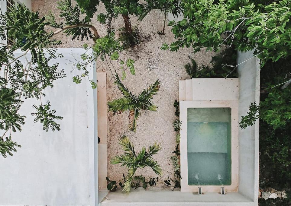 La Sultana Amazing restored house with pool - 1