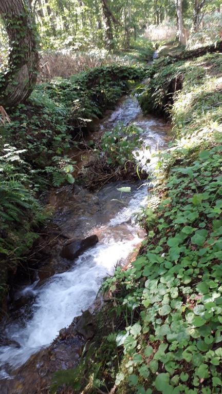 Nearby attraction