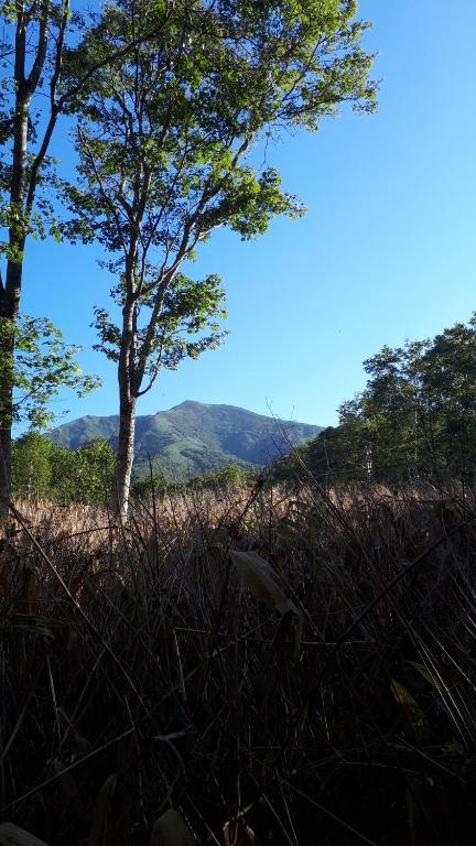 Surrounding environment