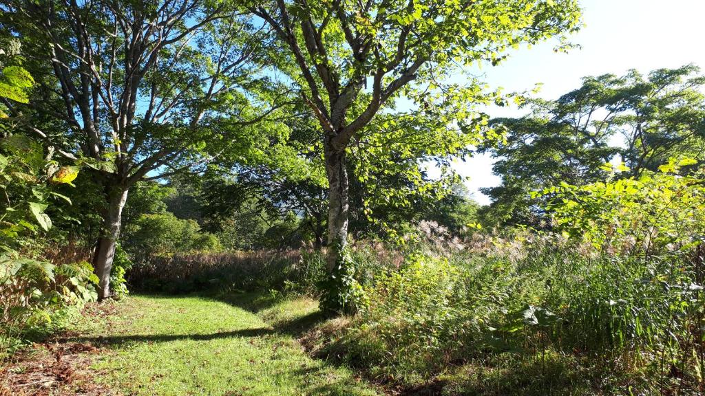 Surrounding environment