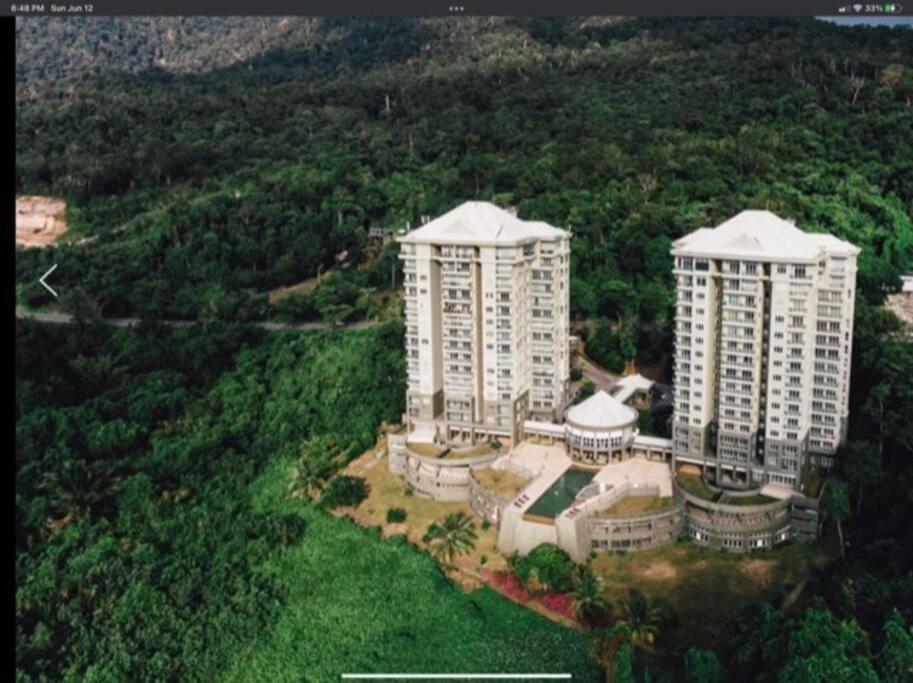 Santubong Suites Lower Level, Kučing