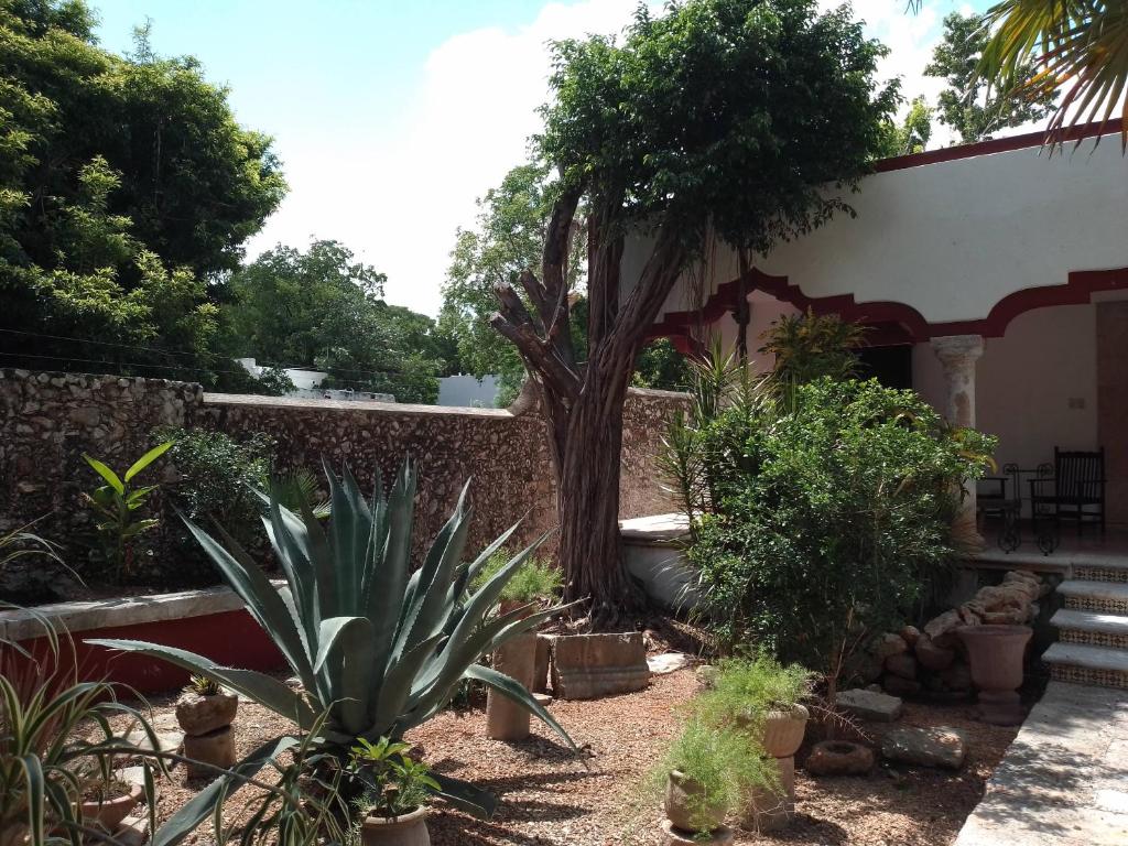 Casa Hacienda Itzimna - 3