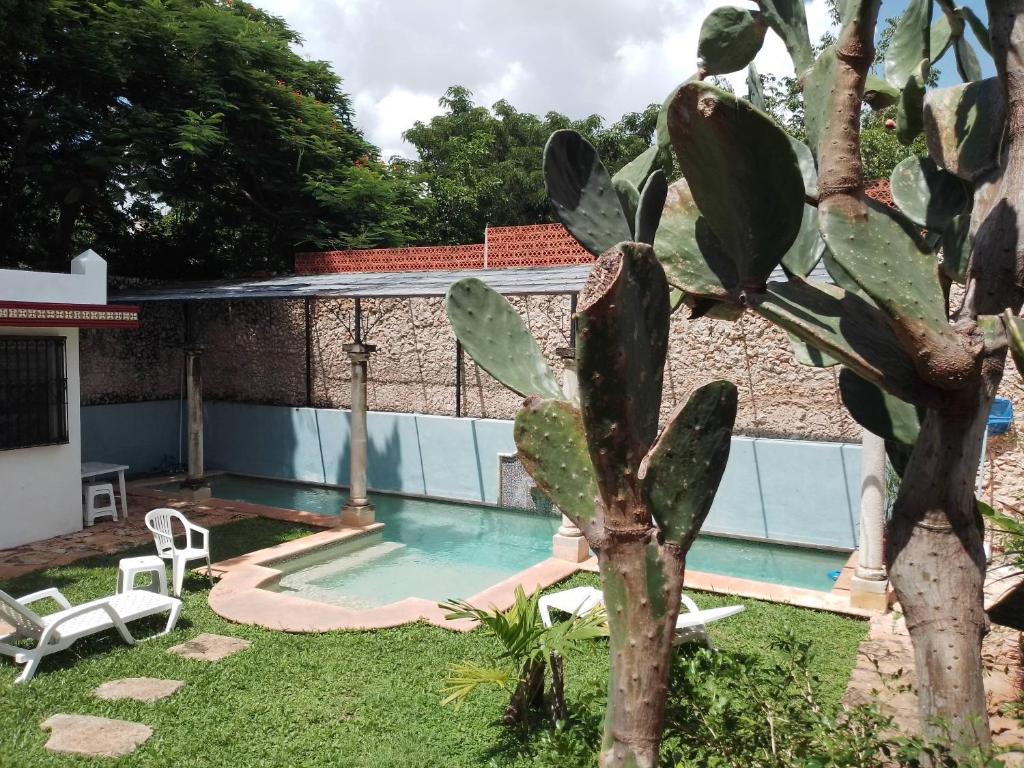 Casa Hacienda Itzimna - 4