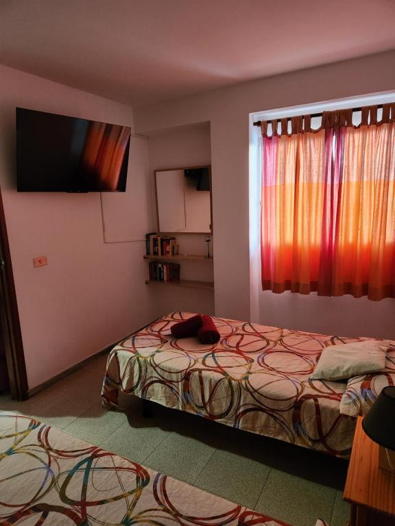 Apartamentos America - 5