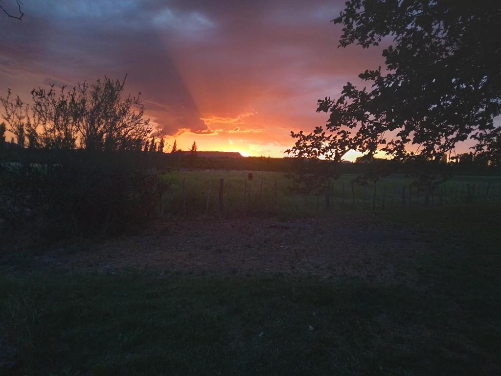 Surrounding environment