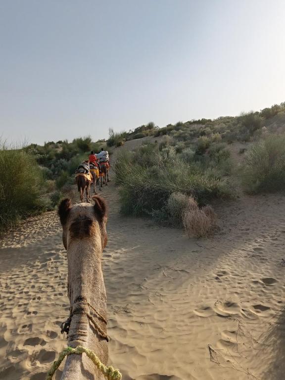 アクティビティ