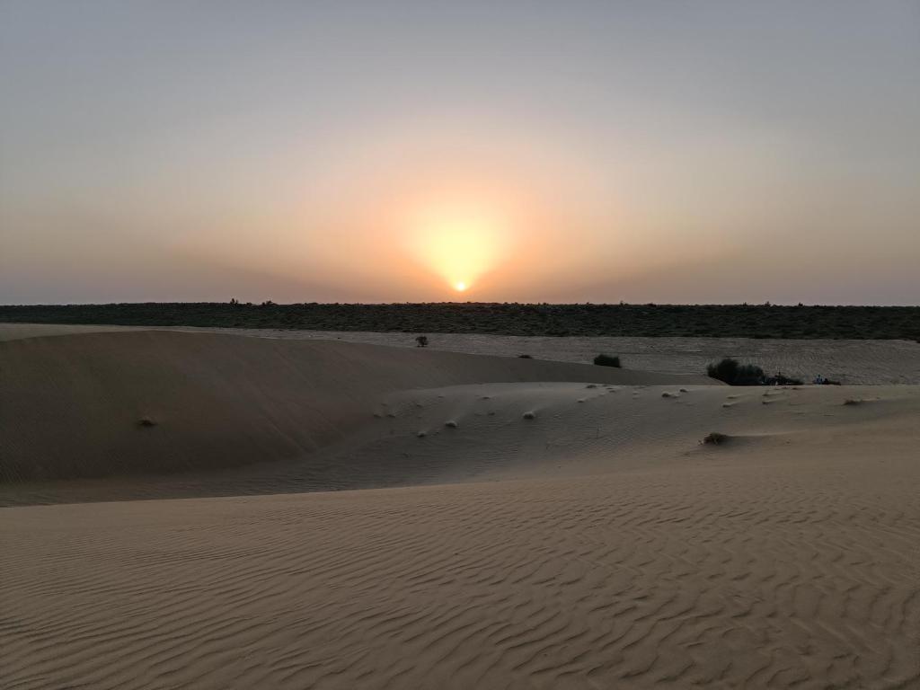 アクティビティ