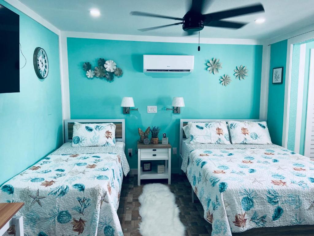 Beautiful and comfortable rom apt # 2, Tampa