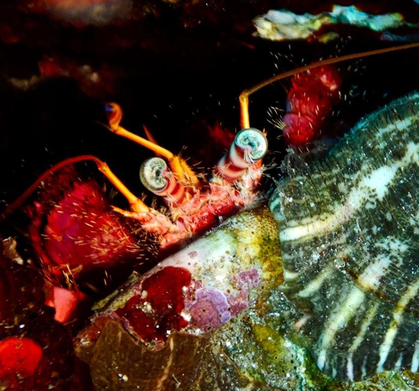 スポーツ/アクティビティ