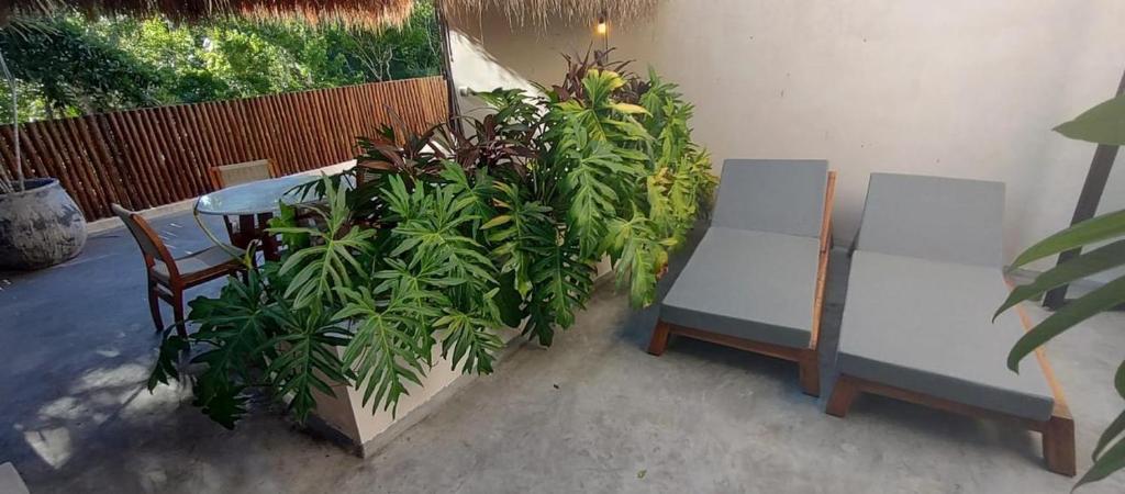 Villa Xuncari in the heart of the jungle Tulum - 5