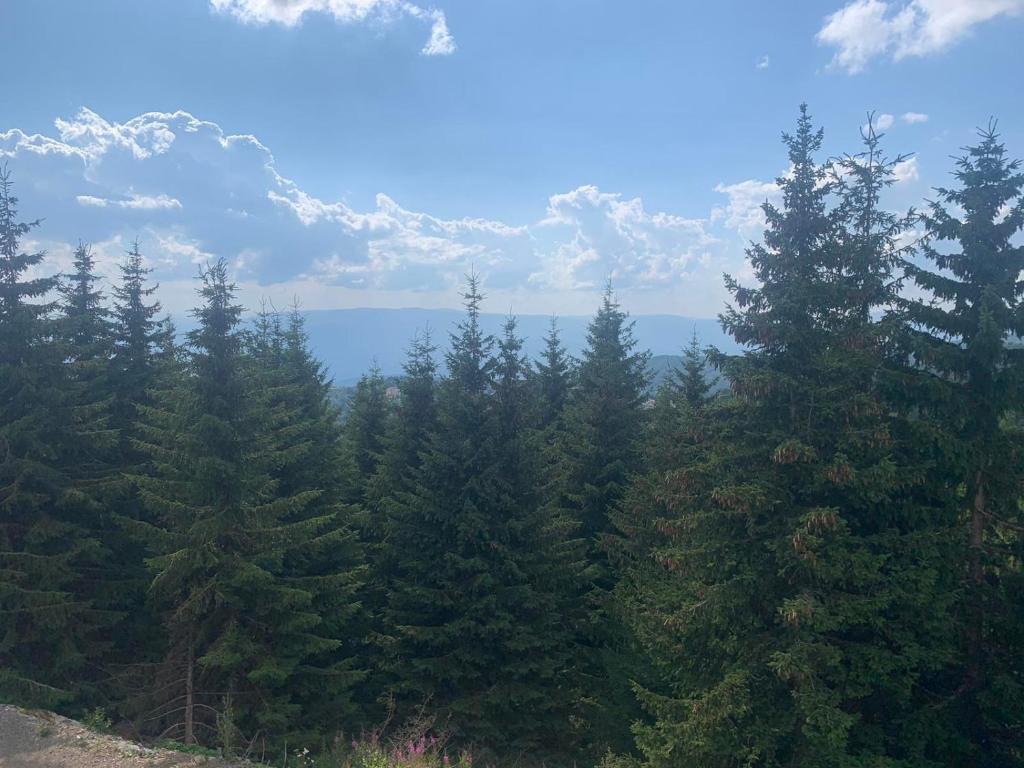 Sunčani Breg Resort&Spa Kopaonik, Apartman broj 409 - 4