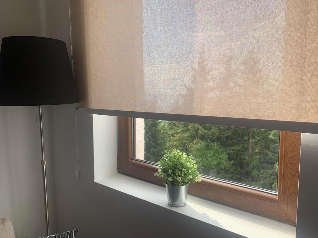 Sunčani Breg Resort&Spa Kopaonik, Apartman broj 409 - 2