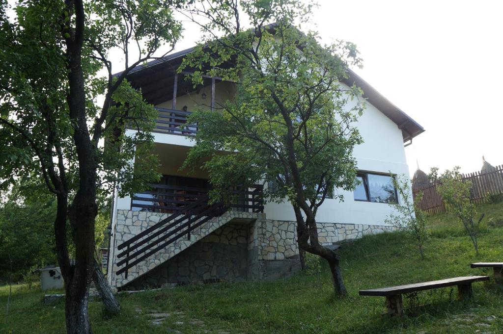 Casa Paltinu photo