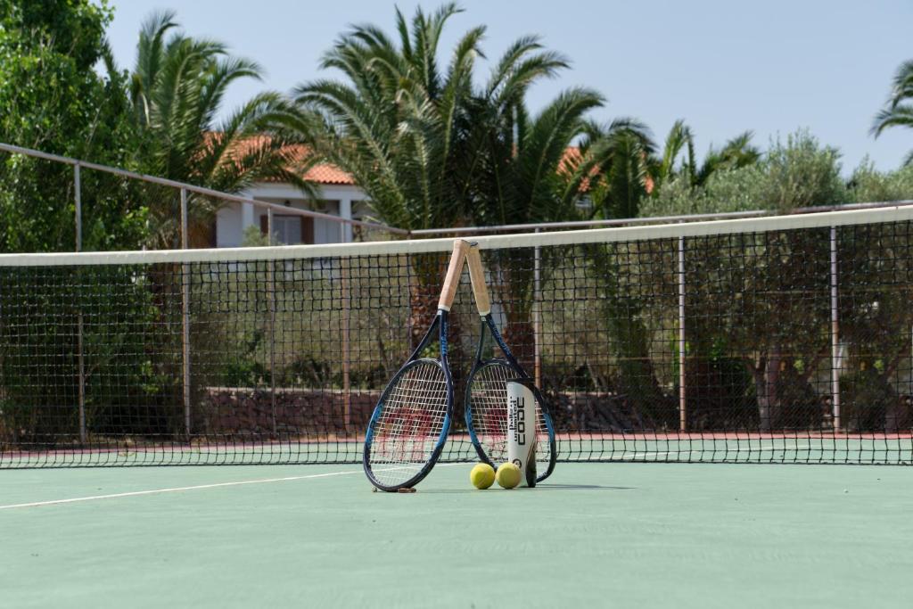 Aphrodite Hotel — Sports & recreation in Mithimna, North Aegean