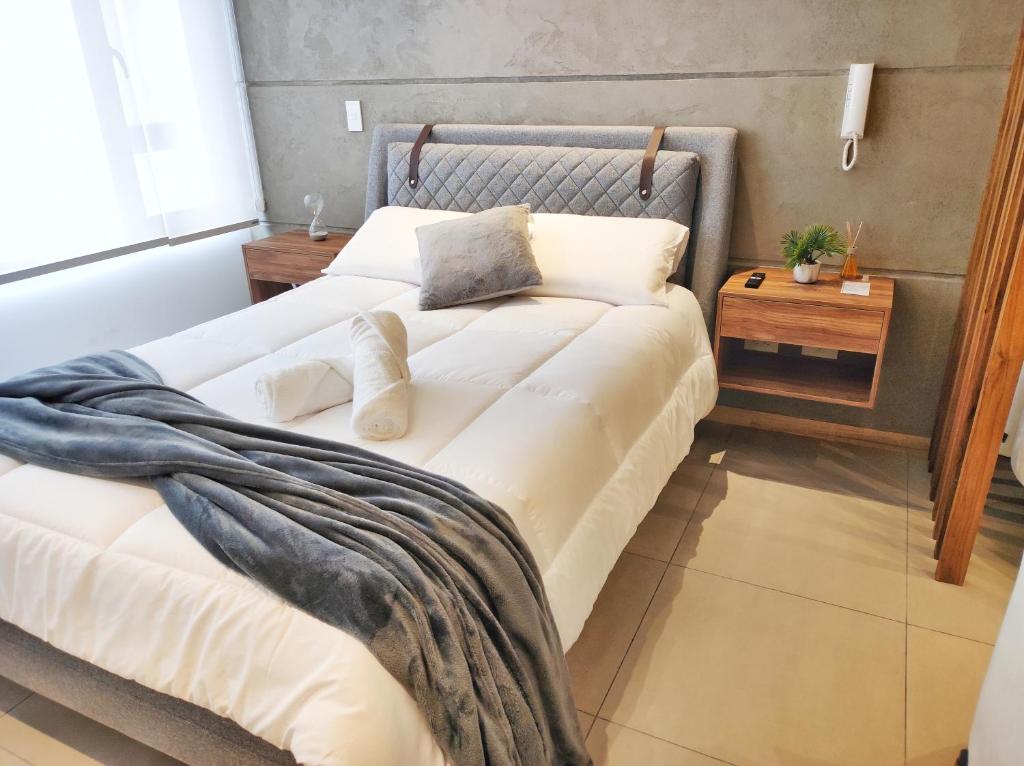 Charming Studio Quito Carolina Coliving Ecuador - 2