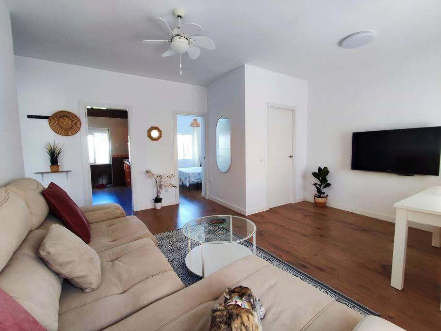 Apartamento Yerbabuena - 5