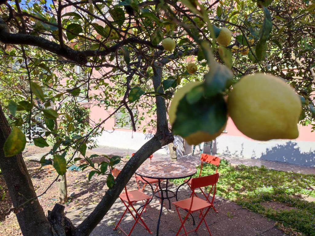 Apartment with private Garden - 2