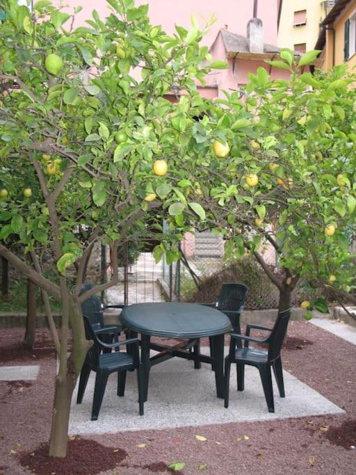 Apartment with private Garden - 5