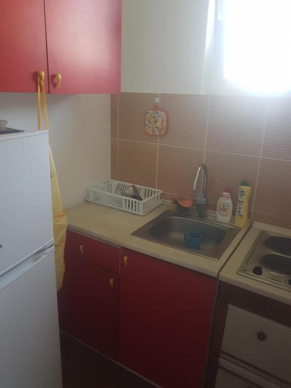 VILA MILA SOKOBANJA - 4