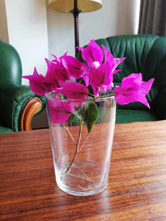 FXapartment1, Funchal