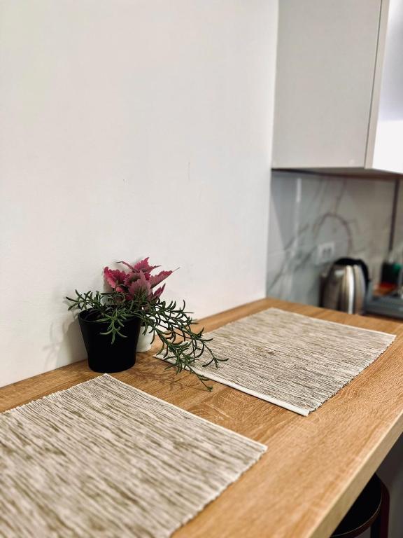 Stone House Central Belgrade Studio - 4