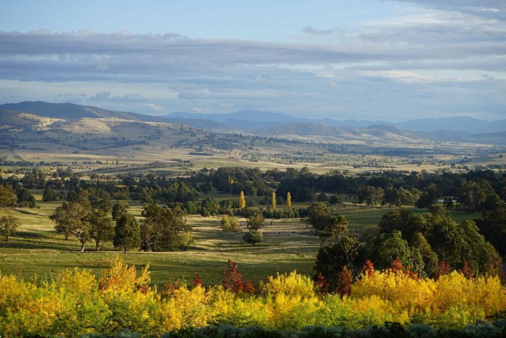 Merrimont Downs, Merrijig