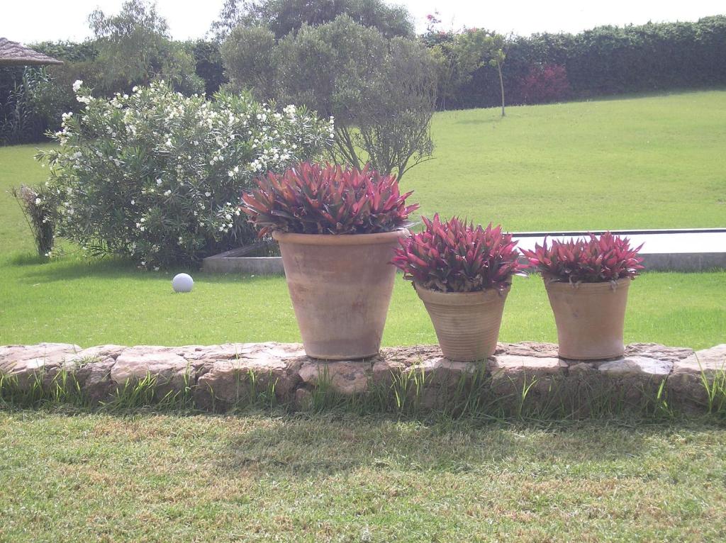 Facilities