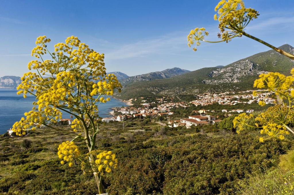 Hotel Brancamaria photo