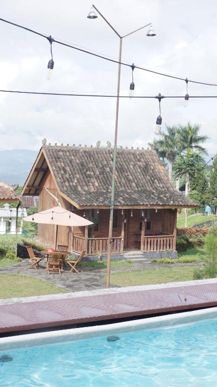 スイミングプール