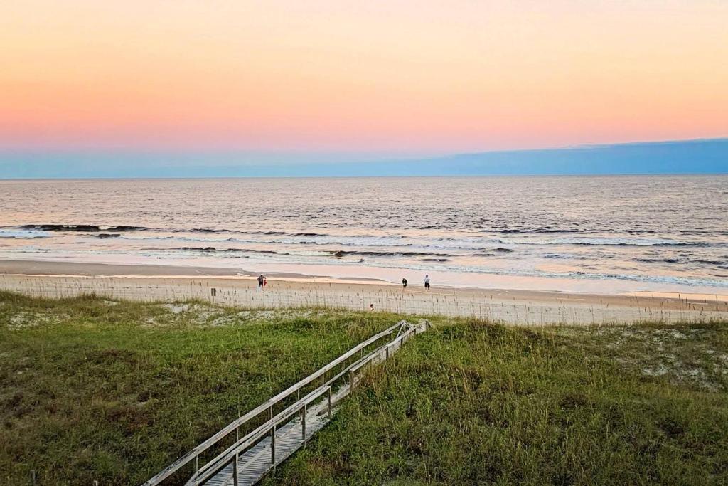 Sea Turtle's Nest, Carolina Beach