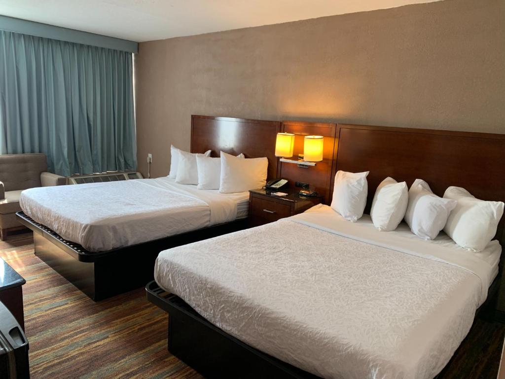 オールバニ エアポート イン (Albany Airport Inn )