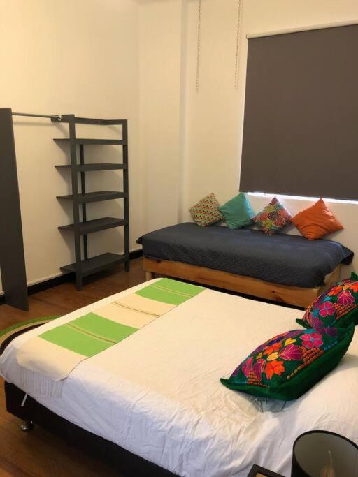 C1 Habitacion en Condesa Amsterdam - 2