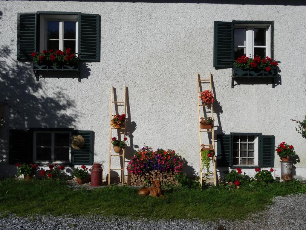 Melchambauer - 4