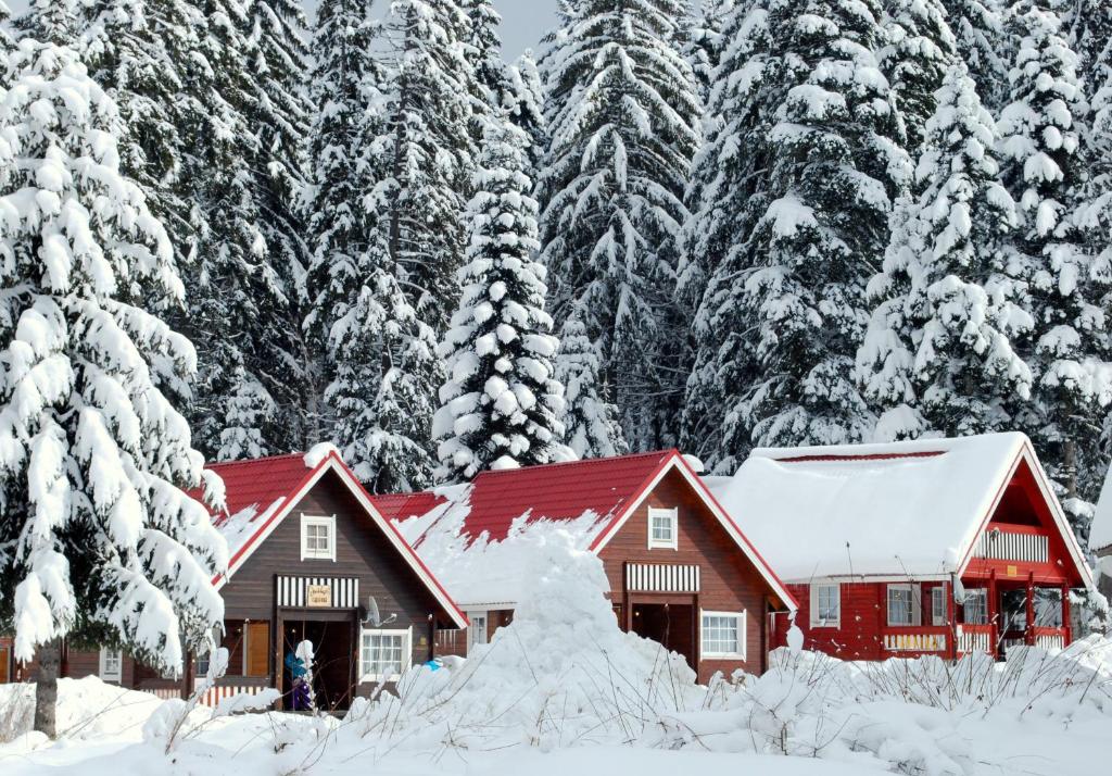 Alpine ski chalet Borovets with sauna 전경