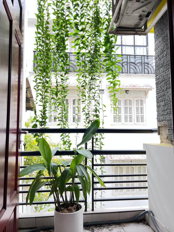 Cỏ Homestay balcony & sofa