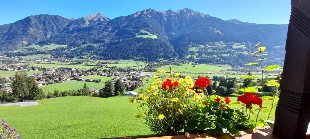 Ferienwohnung am Krausberghof mit Balkon und Parkplatz, 6 Fahrminuten zur Alpentherme Gastein und zur Schlossalmbahn - 5