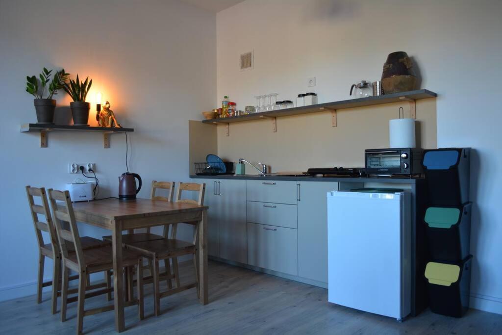 Parrot's Apartment, Krakov