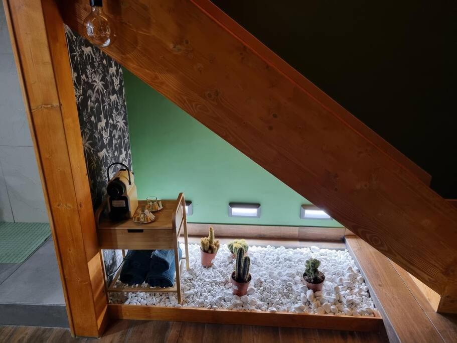 Tropic Love Room - 2