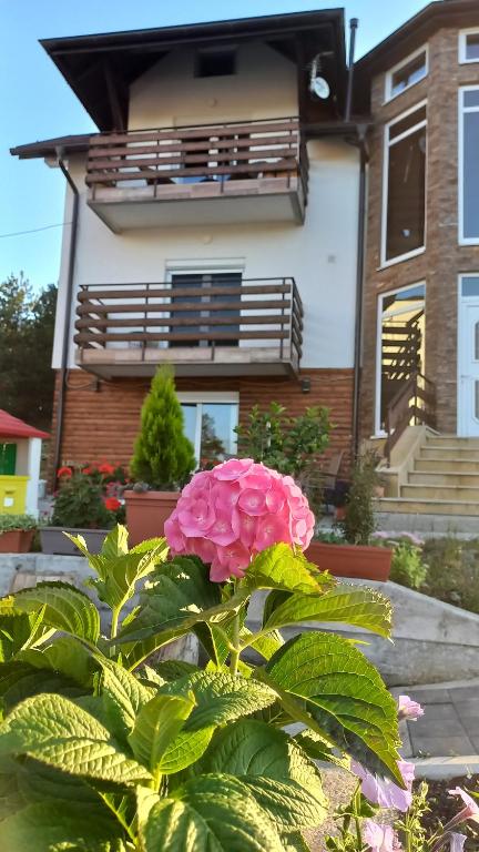 Apartman Popović - Vila Gorštak - 4