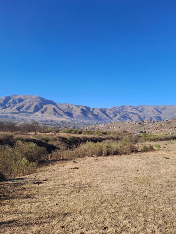 La Escondida - 4