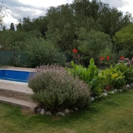 Los Aromos - 1