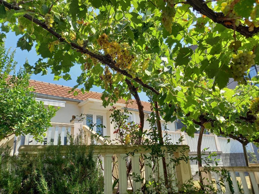 Apartman Maslovar - 3