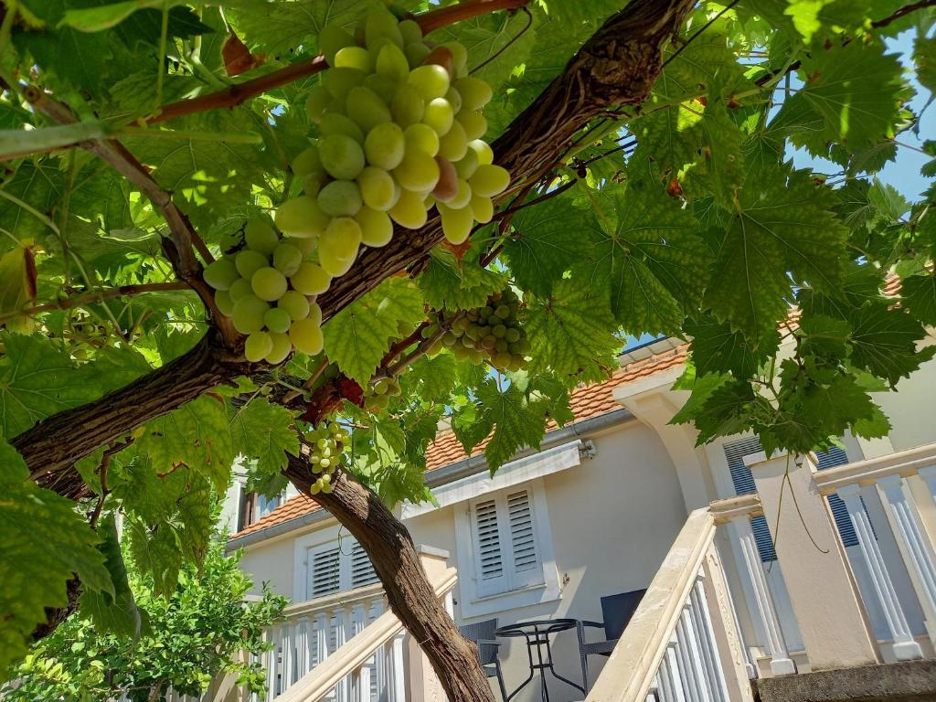 Apartman Maslovar - 2