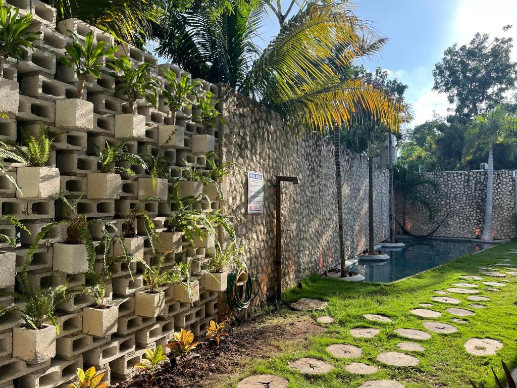 BAU Tulum - 3