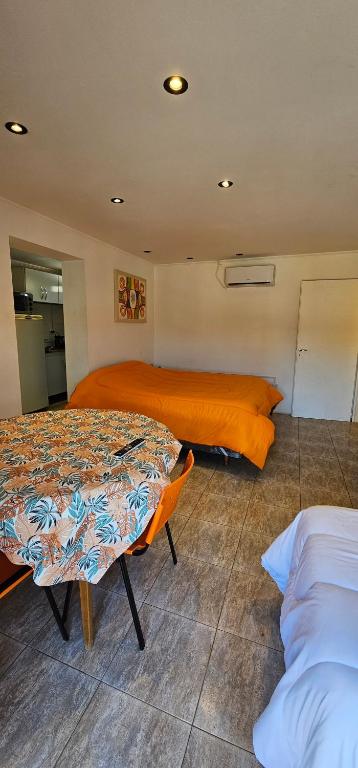 LIRIOS 484 (planta alta) - 5