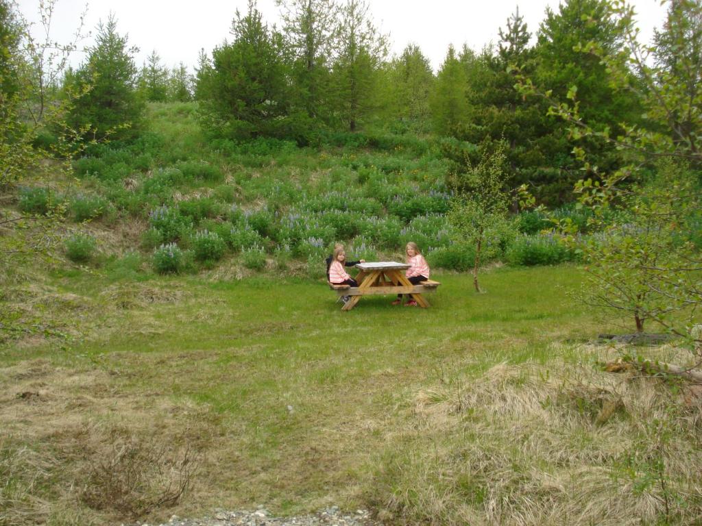 Vinland Camping Pods photo