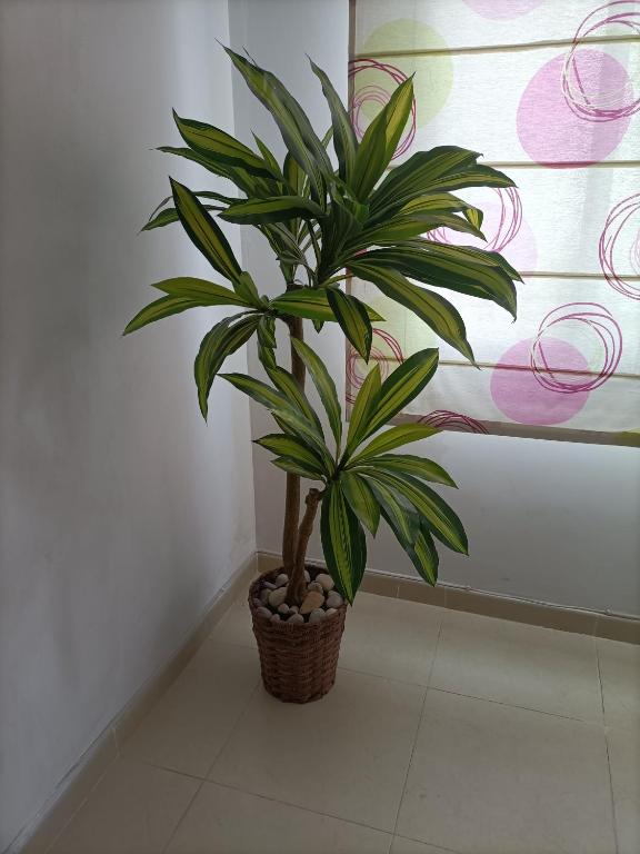 APARTAMENTO ODÍN - 5
