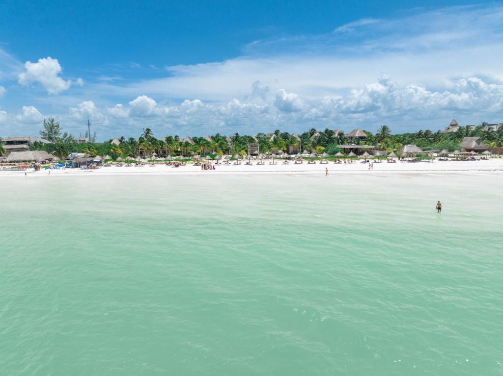 Blue Holbox - 3